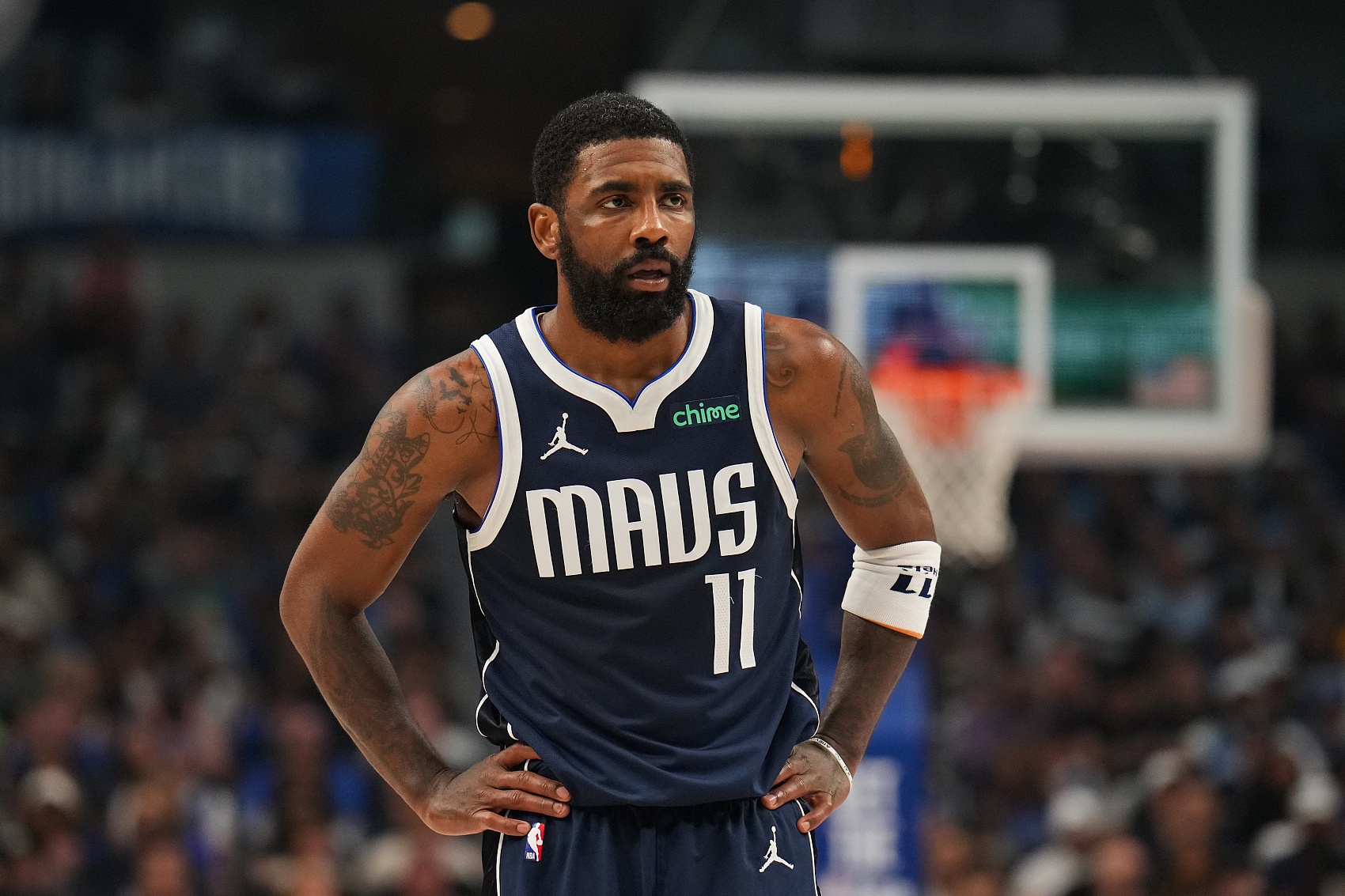 进了她的生 进了她的生