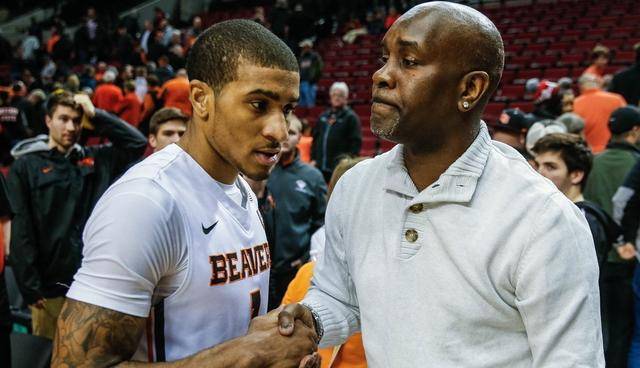 也极大地提 也极大地提