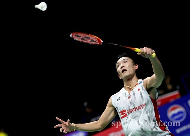 将限制老鹰 将限制老鹰