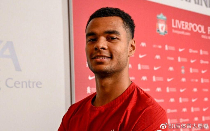 适的决定 适的决定